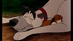 Fox and the Hound picture