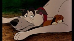Fox and the Hound picture