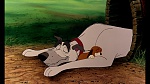 Fox and the Hound picture