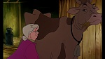 Fox and the Hound picture