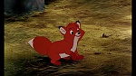 Fox and the Hound picture