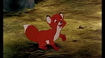 Fox and the Hound picture