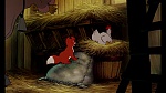 Fox and the Hound picture