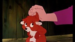 Fox and the Hound picture