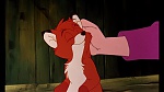 Fox and the Hound picture
