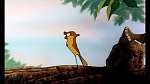 Fox and the Hound picture