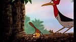 Fox and the Hound picture