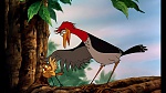 Fox and the Hound picture