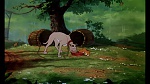 Fox and the Hound picture