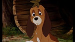 Image Fox and the Hound
