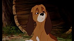 Fox and the Hound picture
