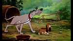 Image Fox and the Hound
