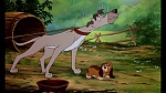 Fox and the Hound picture