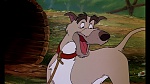 Image Fox and the Hound