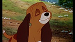 Image Fox and the Hound