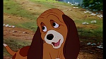 Image Fox and the Hound