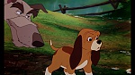 Image Fox and the Hound