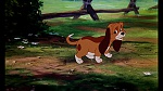 Image Fox and the Hound