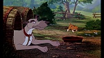 Fox and the Hound picture