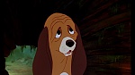 Image Fox and the Hound