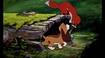 Fox and the Hound picture