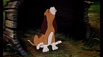 Fox and the Hound picture