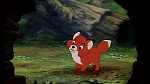 Fox and the Hound picture