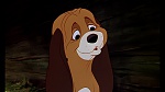 Fox and the Hound picture