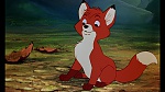 Fox and the Hound picture