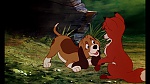 Fox and the Hound picture