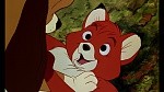 Fox and the Hound picture