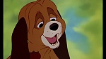 Fox and the Hound picture