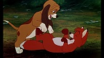 Fox and the Hound picture