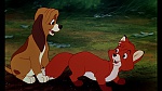 Fox and the Hound picture