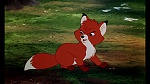 Fox and the Hound picture