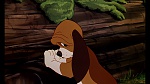 Fox and the Hound picture