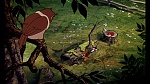 Fox and the Hound picture