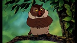 Fox and the Hound picture