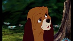 Image Fox and the Hound
