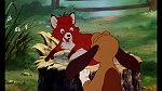 Fox and the Hound picture