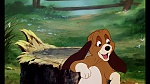 Fox and the Hound picture