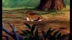 Image Fox and the Hound