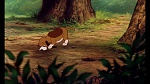 Fox and the Hound picture