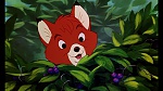 Image Fox and the Hound
