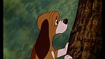 Fox and the Hound picture