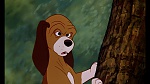 Fox and the Hound picture