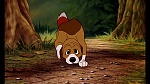 Fox and the Hound picture