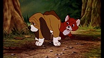 Fox and the Hound picture