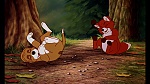 Fox and the Hound picture