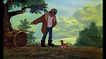 Fox and the Hound picture